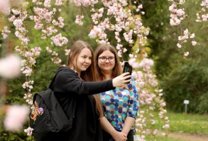 Szeged, cseresznyefa virágzás, Füvészkert, Japánkert, Hanami, természet, tavasz, turizmus